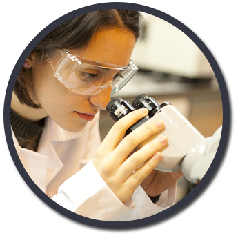 Woman Using Microscope Woman Using Microscope